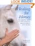 Healing for Horses: The Essential Guide to Using Hands-On Healing Energy with Horses