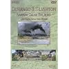 Durango & Silverton Narrow Gauge Railroad
