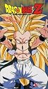 Dragon Ball Z - Fusion - Losing Battle (Uncut) [VHS]