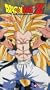 Dragon Ball Z - Fusion - Losing Battle (Uncut) [VHS]