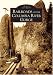 Railroads of the Columbia River Gorge (OR) (Images of Rail)