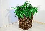 Produkt-Bild: Pflanzvase aus Wasserhyazinthe, H&ouml;he 51cm, eckig, dark