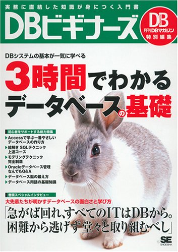 DBビギナーズ