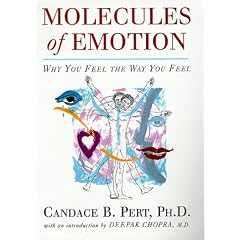 Molecules of Emotion: Why You Feel the Way You Do