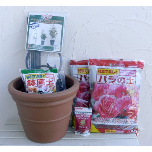 つるバラ用の鉢と土と160cmオベリスクのセット（コタポット13号テラコッタ）