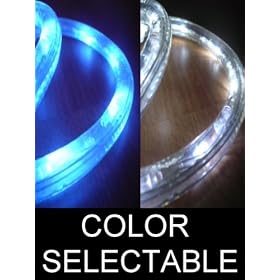 10Ft Color Selectable Rope Lights; neon blue and pure white LED Rope Light Kit; Christmas... by DiodeArt