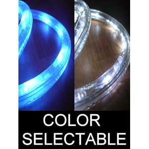 10Ft Color Selectable Rope Lights; neon blue and pure white LED Rope Light Kit; Christmas... by DiodeArt