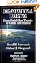 Organizational Learning