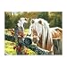Just Visiting 500 pc Jigsaw Puzzle by Sunsout
