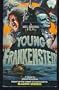 Young Frankenstein: A Novel