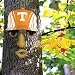 Tennessee Volunteers Forest Face