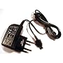 GSM Access - Chargeur secteur GSM ACCESS 220 v compatible pour SAMSUNG certifi� CE et RoHS