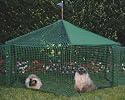 Kittywalk Pet Gazebo