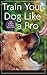Train Your Dog Like a Pro