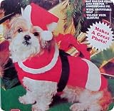 SMALL - Doggy Santa Suit