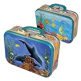 Dolphin's Playtime Lunch Box
