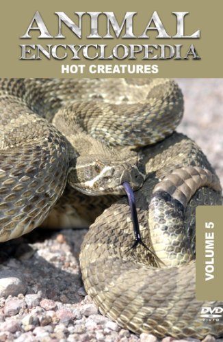 Cover art for Animal Encyclopedia: Volume 5: Hot Creatures Cover art for Animal Encyclopedia: Volume 5: Hot Creatures