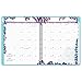 AT-A-GLANCE Professional Weekly / Monthly Planner 2016, Wild Washes, 8.5 x 11 Inches (523-905)