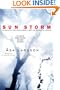Sun Storm (Rebecka Martinsson)