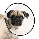 Top Performance Plastic Elizabethan Pet Collar, Medium, 11-1/2-Inch