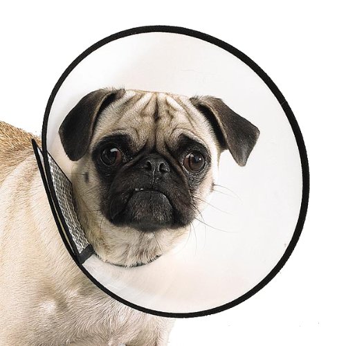 Top Performance Plastic Elizabethan Pet Collar, XX-Large, 14 to 20-Inch