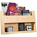 The Tidy Books Bunk Bed Buddy (Clear)