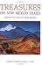 Treasures on New Mexico Trails: Discovery of New Deal Art and Architecture