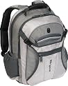 Targus TSB136US League Backpack Fits up to 15.4-Inch Screen (Silver and Grey)