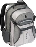 Targus TSB136US League Backpack Fits up to 15.4-Inch Screen (Silver and Grey)