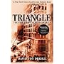 Triangle: The Fire That Changed America by David von Drehle