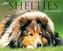 Just Shelties