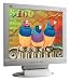 Viewsonic VE175 17" LCD Monitor