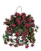 Artificial Beauty Azalea Hanging Basket