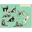 Noticing Differences Cats Puzzle by Kid-O