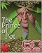 DVD : 60 Minutes - The Prince Of Pot (March 5, 2006)