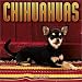 Chihuahuas 2004 Calendar