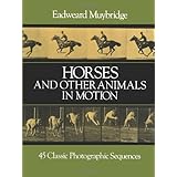 horses and other animals in motion 45 classic photographic sequences dover anatomy for artists