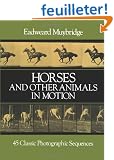 Horses and Other Animals in Motion