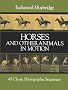 Horses and Other Animals in Motion