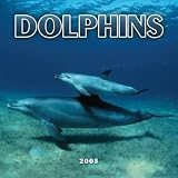 Dolphins 2005 Mini Wall Calendar image