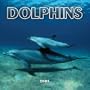Dolphins 2005 Mini Wall Calendar