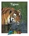 Tigres
