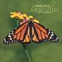 Monarch Butterflies 2007 Calendar