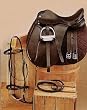 Silver Fox Dressage Saddle Package