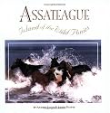 Assateague: Island of Wild Ponies