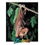 Bats (Zoobooks Series)