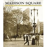 madison square the park and its celebrated landmarks
