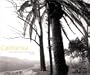 California: Views by Robert Adams of the Los Angeles Basin, 1978-1983