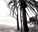 California: Views by Robert Adams of the Los Angeles Basin, 1978-1983