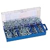 Draper 61275 305-Piece Self-Tapping Screw Assortment